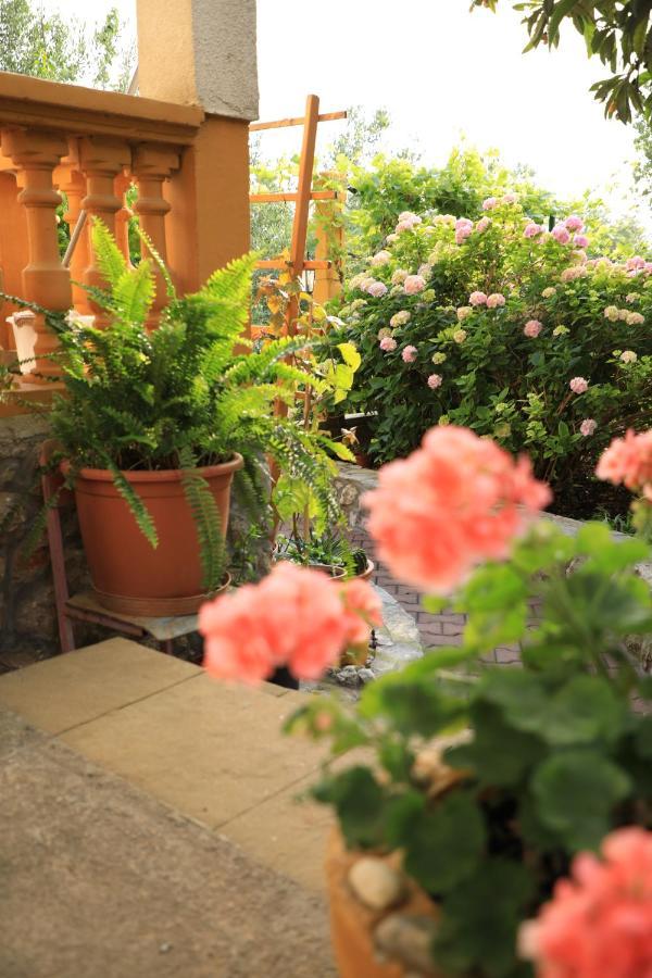 Apartmani Sarlija Pakoštane Esterno foto